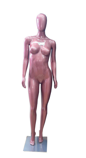 Imagem 1